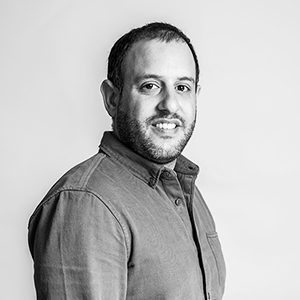 Alon Hamzani - VP Professional Services